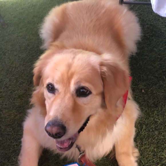 Meet your Posher, Jennifer - Picture 1 of 1